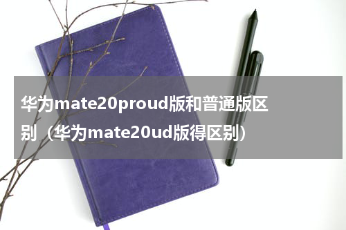 华为mate20proud版和普通版区别（华为mate20ud版得区别）