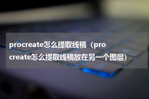 procreate怎么提取线稿（procreate怎么提取线稿放在另一个图层）