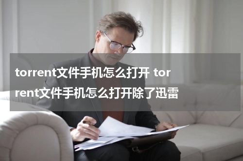 torrent文件手机怎么打开 torrent文件手机怎么打开除了迅雷