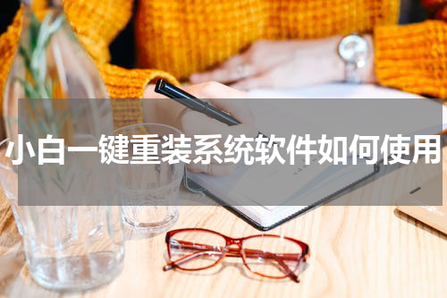 小白一键重装系统软件如何使用