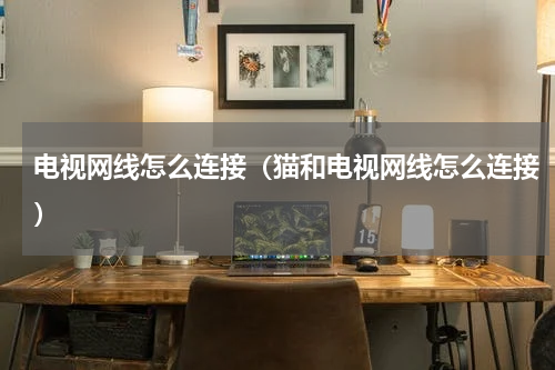 电视网线怎么连接（猫和电视网线怎么连接）