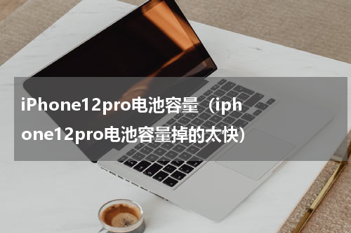 iPhone12pro电池容量（iphone12pro电池容量掉的太快）