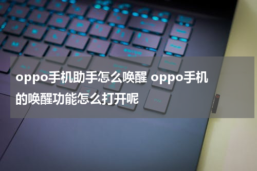 oppo手机助手怎么唤醒 oppo手机的唤醒功能怎么打开呢