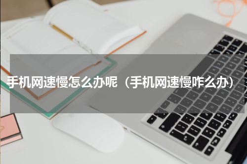 手机网速慢怎么办呢（手机网速慢咋么办）
