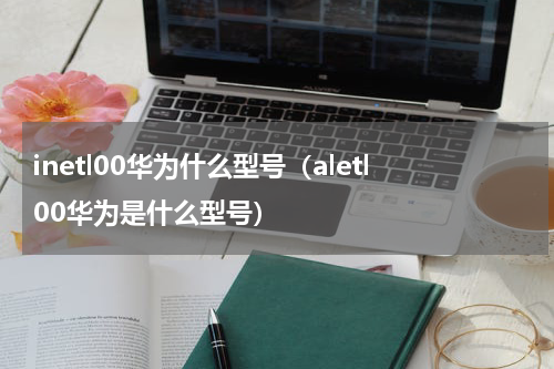 inetl00华为什么型号（aletl00华为是什么型号）