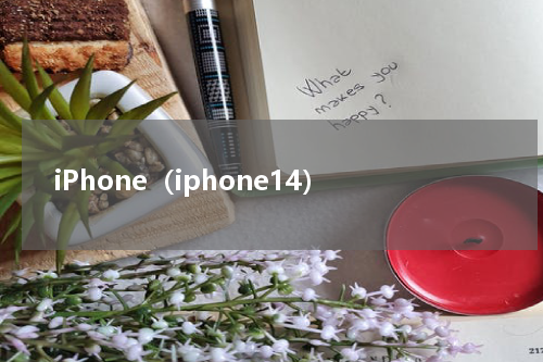 iPhone（iphone14）