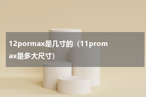 12pormax是几寸的（11promax是多大尺寸）