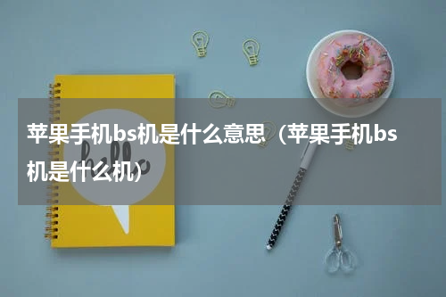 苹果手机bs机是什么意思（苹果手机bs机是什么机）