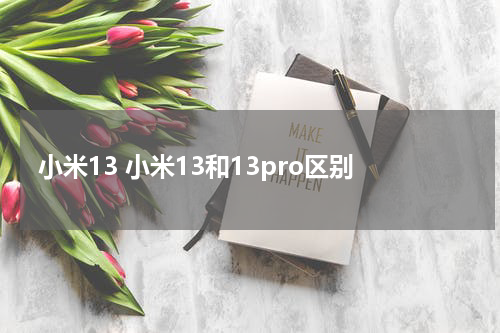 小米13 小米13和13pro区别