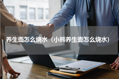 养生壶怎么烧水（小熊养生壶怎么烧水）