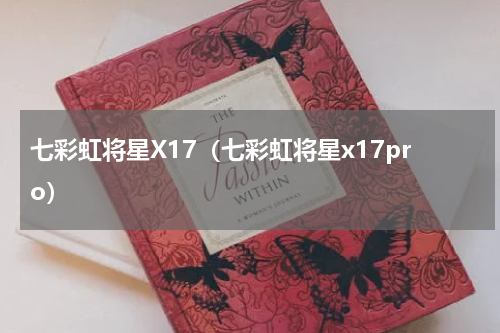 七彩虹将星X17（七彩虹将星x17pro）