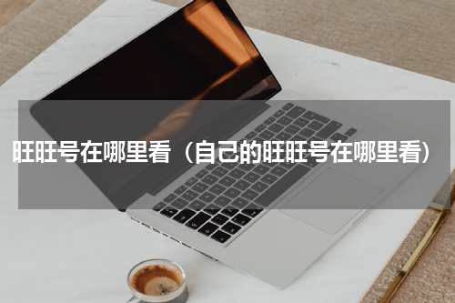 旺旺号在哪里看（自己的旺旺号在哪里看）