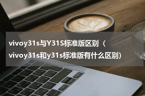 vivoy31s与Y31S标准版区别（vivoy31s和y31s标准版有什么区别）