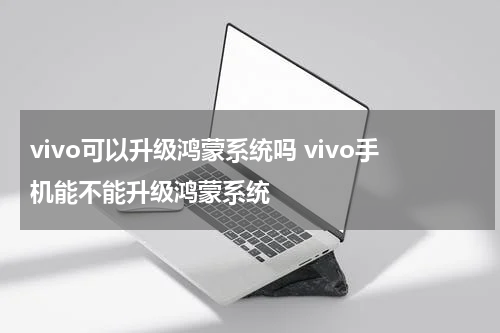 vivo可以升级鸿蒙系统吗 vivo手机能不能升级鸿蒙系统