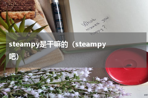 steampy是干嘛的（steampy吧）
