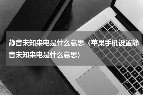 静音未知来电是什么意思（苹果手机设置静音未知来电是什么意思）