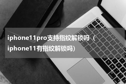 iphone11pro支持指纹解锁吗（iphone11有指纹解锁吗）