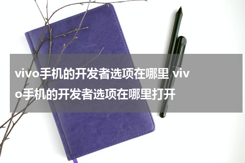 vivo手机的开发者选项在哪里 vivo手机的开发者选项在哪里打开