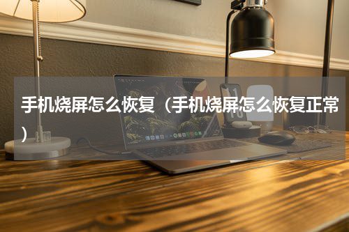 手机烧屏怎么恢复（手机烧屏怎么恢复正常）