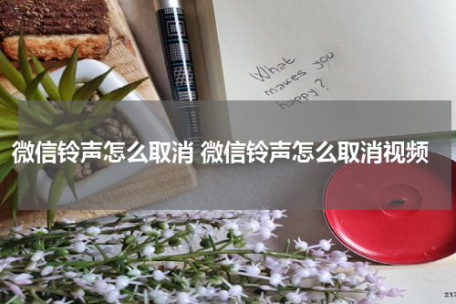 微信铃声怎么取消 微信铃声怎么取消视频