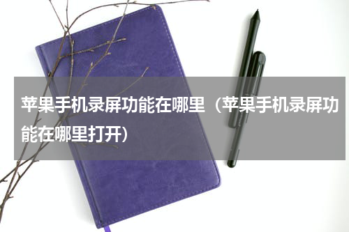 苹果手机录屏功能在哪里（苹果手机录屏功能在哪里打开）