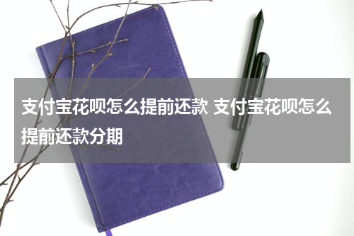 支付宝花呗怎么提前还款 支付宝花呗怎么提前还款分期