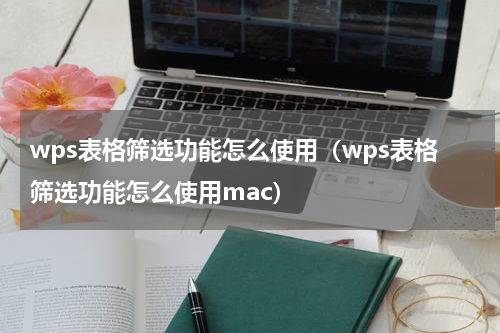 wps表格筛选功能怎么使用（wps表格筛选功能怎么使用mac）