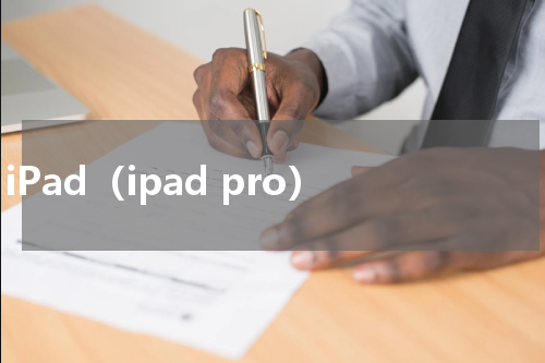 iPad（ipad pro）
