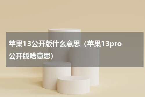 苹果13公开版什么意思（苹果13pro公开版啥意思）