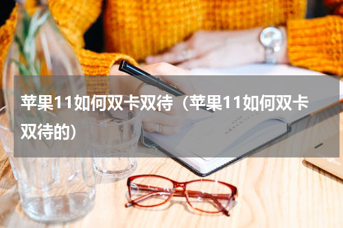苹果11如何双卡双待（苹果11如何双卡双待的）