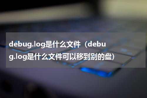 debug.log是什么文件（debug.log是什么文件可以移到别的盘）