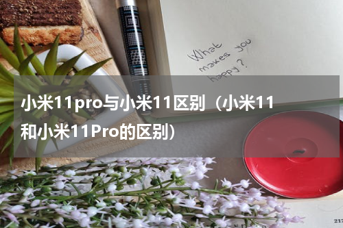 小米11pro与小米11区别（小米11和小米11Pro的区别）