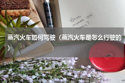 蒸汽火车如何驾驶（蒸汽火车是怎么行驶的）
