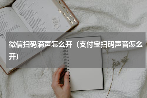 微信扫码滴声怎么开（支付宝扫码声音怎么开）