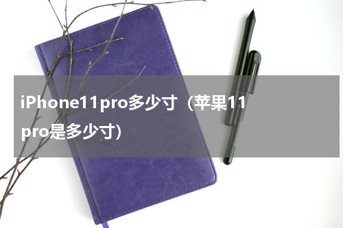iPhone11pro多少寸（苹果11pro是多少寸）