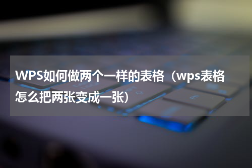 WPS如何做两个一样的表格（wps表格怎么把两张变成一张）