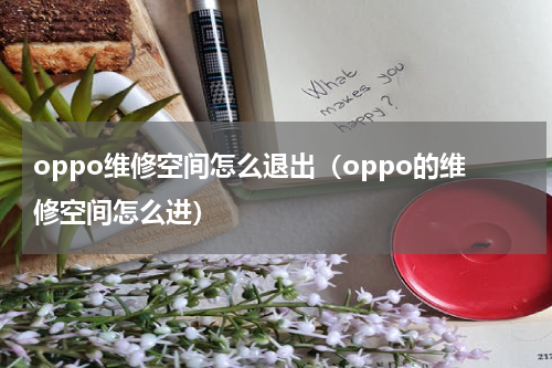 oppo维修空间怎么退出（oppo的维修空间怎么进）