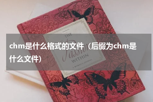 chm是什么格式的文件（后缀为chm是什么文件）