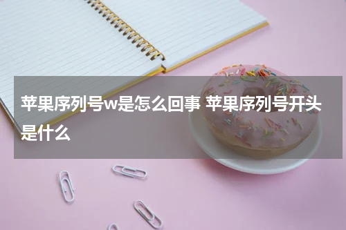 苹果序列号w是怎么回事 苹果序列号开头是什么