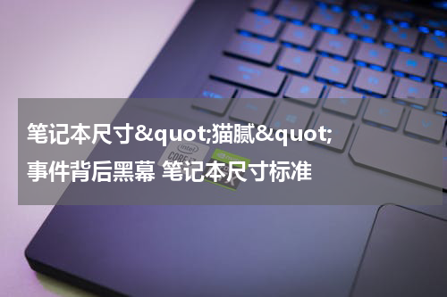 笔记本尺寸&quot;猫腻&quot;事件背后黑幕 笔记本尺寸标准
