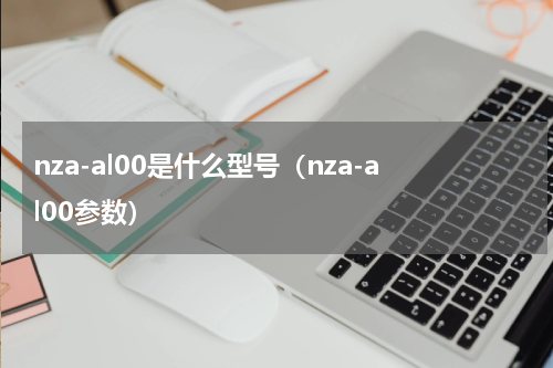 nza-al00是什么型号（nza-al00参数）