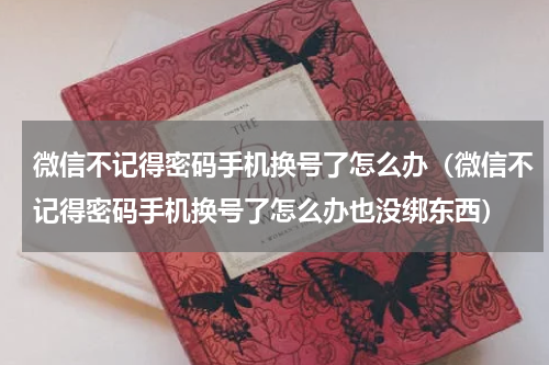 微信不记得密码手机换号了怎么办（微信不记得密码手机换号了怎么办也没绑东西）