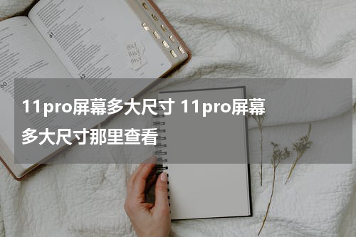 11pro屏幕多大尺寸 11pro屏幕多大尺寸那里查看