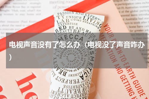 电视声音没有了怎么办（电视没了声音咋办）