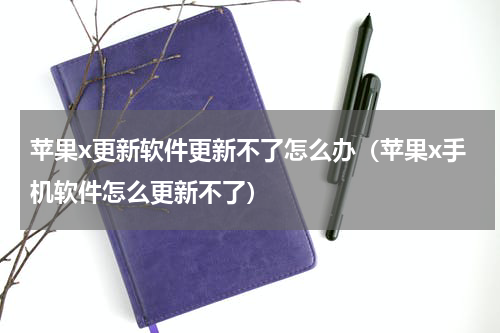 苹果x更新软件更新不了怎么办（苹果x手机软件怎么更新不了）