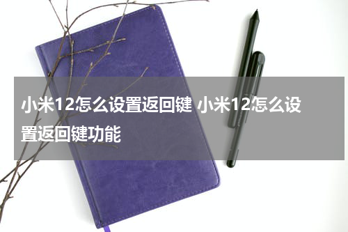 小米12怎么设置返回键 小米12怎么设置返回键功能