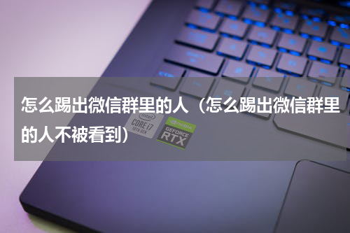 怎么踢出微信群里的人（怎么踢出微信群里的人不被看到）