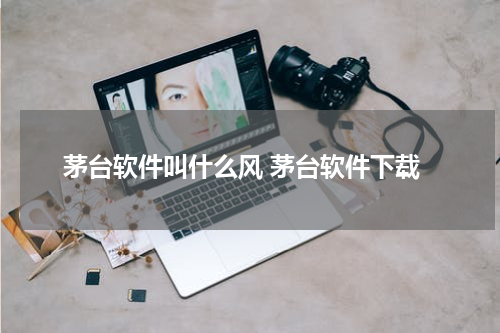 茅台软件叫什么风 茅台软件下载
