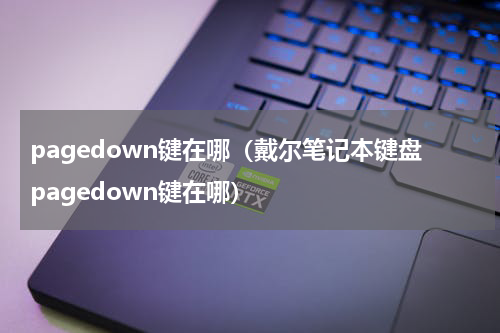 pagedown键在哪（戴尔笔记本键盘pagedown键在哪）