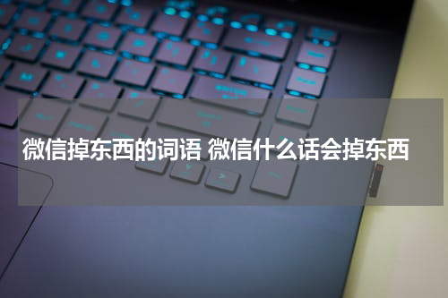 微信掉东西的词语 微信什么话会掉东西